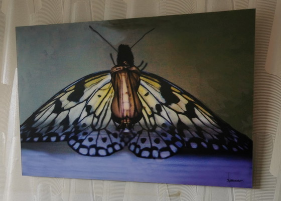 Image 1 of Johan van Dreven - Butterfly