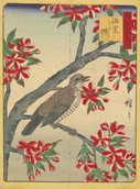 Utagawa Hiroshigi II------Sierappel