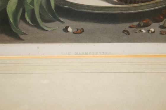 Image 1 of Prachtige print van Sir Edwin Landseer mooie wanddecoratie