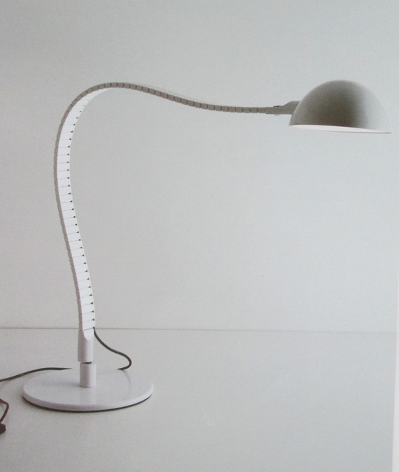 Image 1 of Martinelli 2164 Flex Terra vloerlamp