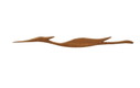 Vintage Teak Hout Wandvogel Wanddecoratie