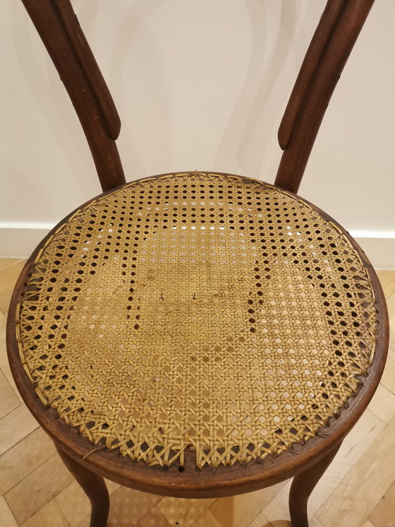 Image 1 of Thonet stoel