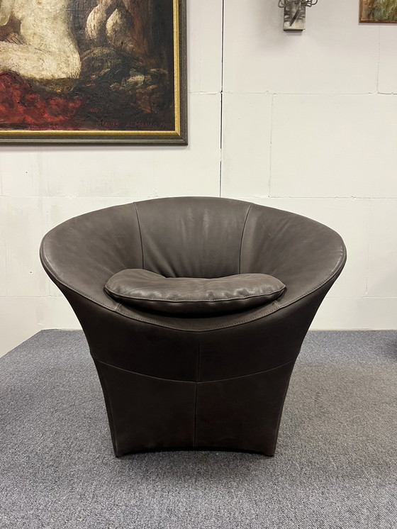 Image 1 of Label van den Berg Ace Fauteuil Bruin leer