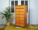 Vintage Schoenenkast