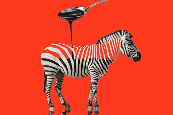 Image 1 of Jonathan Leih Chocolate Zebra