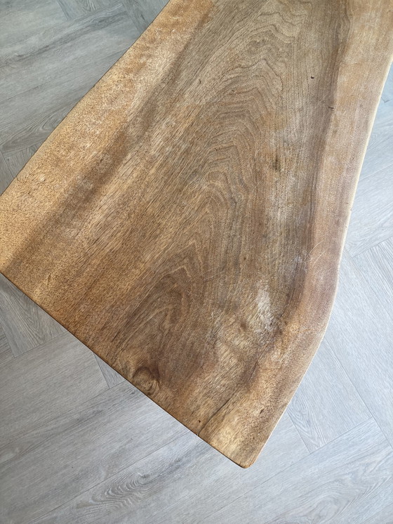 Image 1 of Vintage boomstamtafel
