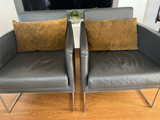 Image 1 of 2x Bert Plantagie Pallas fauteuils