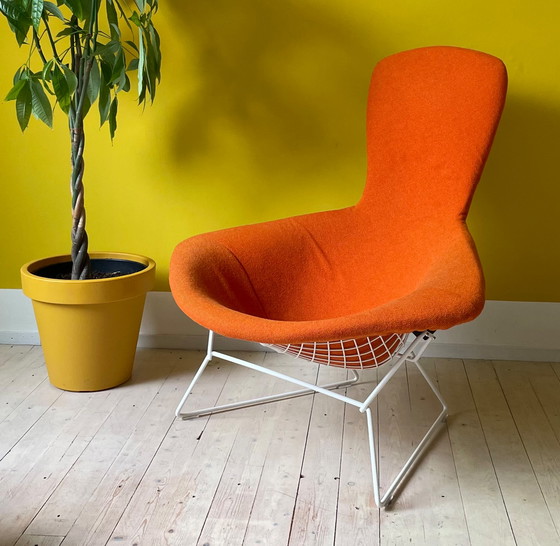 Image 1 of Knoll Harry Bertoia Bird Chair