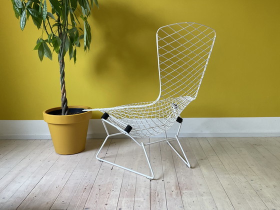 Image 1 of Knoll Harry Bertoia Bird Chair