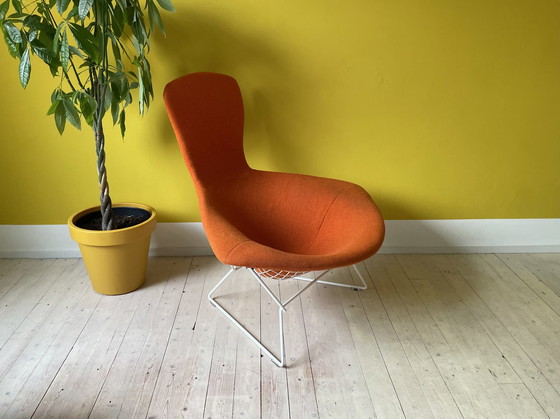 Image 1 of Knoll Harry Bertoia Bird Chair