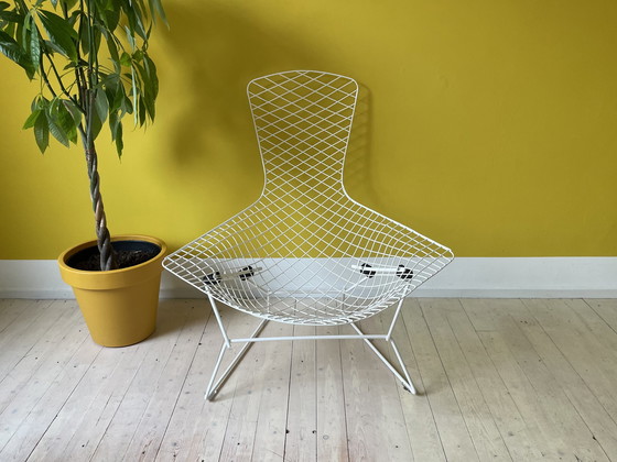 Image 1 of Knoll Harry Bertoia Bird Chair