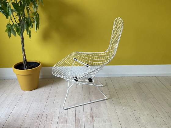 Image 1 of Knoll Harry Bertoia Bird Chair