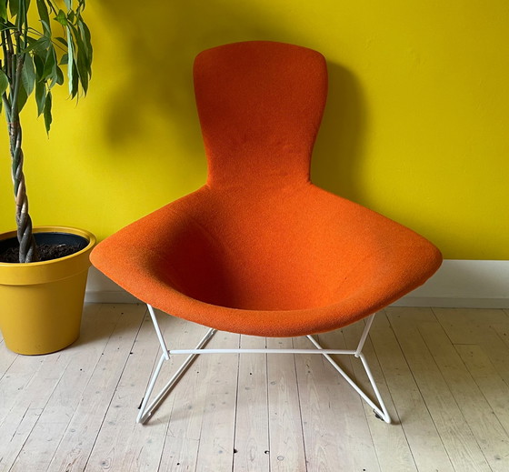 Image 1 of Knoll Harry Bertoia Bird Chair