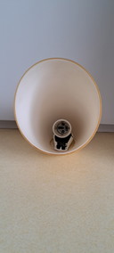 Foscarini wandlamp