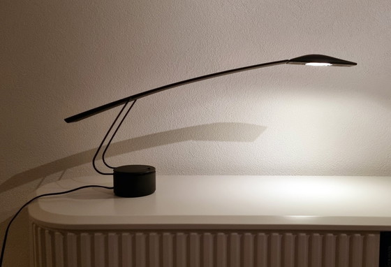 Image 1 of Dove lamp van Barbaglia & Colombo voor PAF Studio