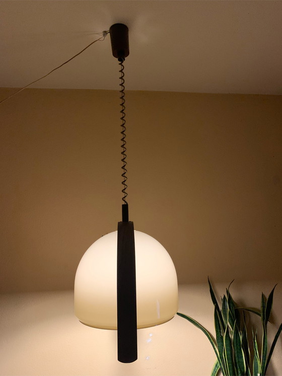 Image 1 of Temde Leuchten Dome Hanglamp 70’s