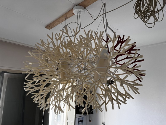 Image 1 of Pallucco - Coral Hanglamp