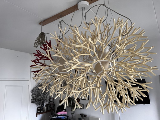 Pallucco - Coral Hanglamp