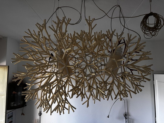 Image 1 of Pallucco - Coral Hanglamp