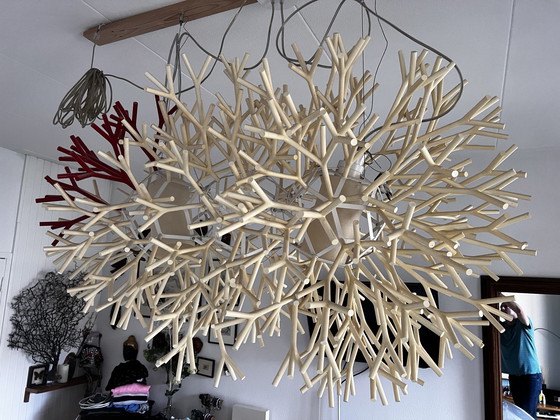 Image 1 of Pallucco - Coral Hanglamp