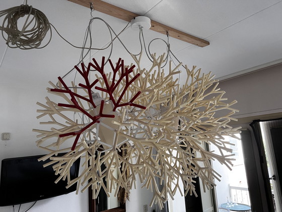 Image 1 of Pallucco - Coral Hanglamp