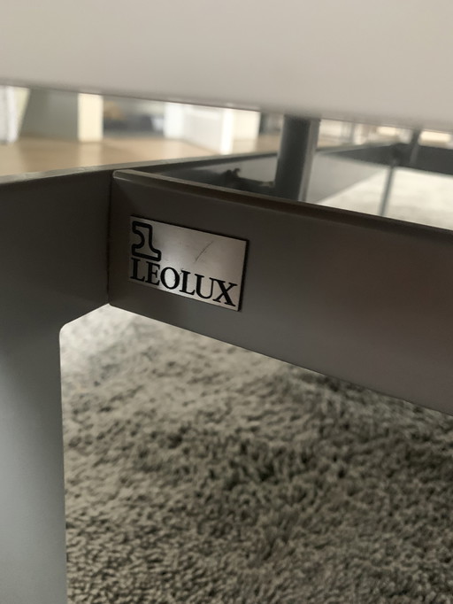 Leolux salontafel