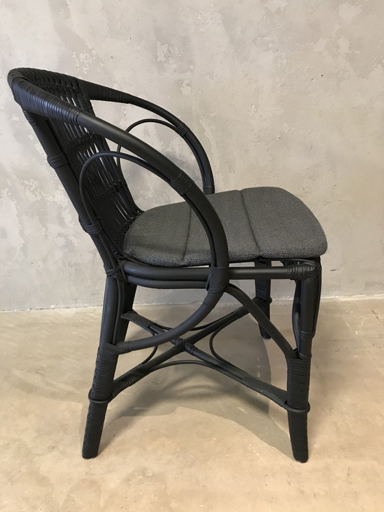 Image 1 of 6x Sika-Design  Robert dining chair