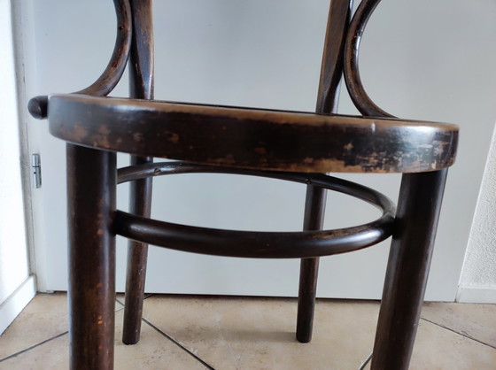Image 1 of Cosmos Thonet stoel
