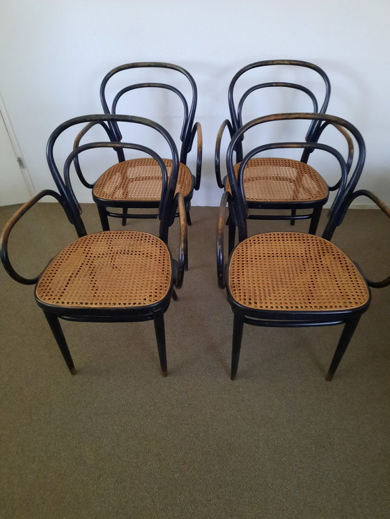 Image 1 of 4x Thonet stoel 214f