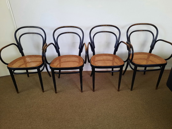 Image 1 of 4x Thonet stoel 214f