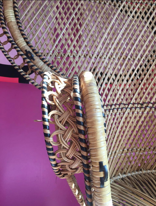 Fantastisch mooie oude pauwenstoel