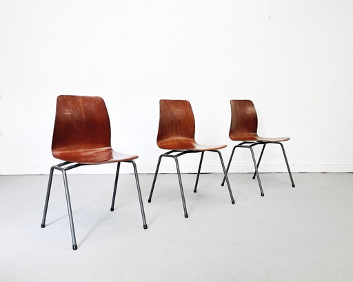 6x Pagholz stoelen Teak