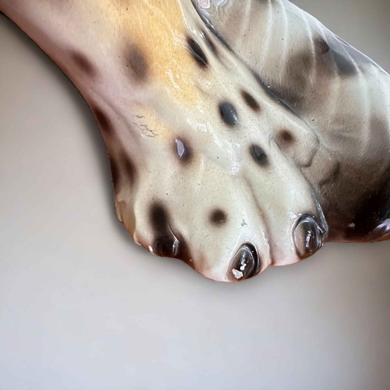 Image 1 of Vintage Luipaarden