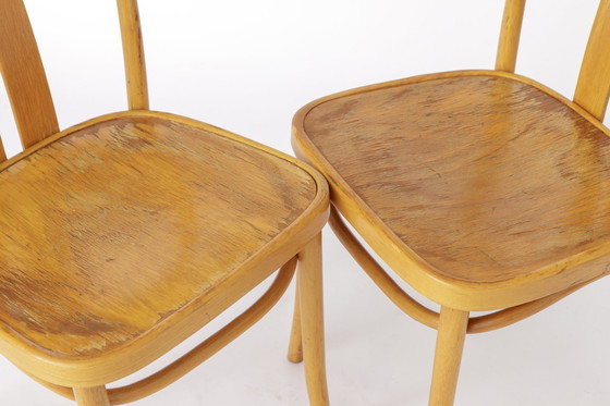 Image 1 of 2 Vintage IKEA stoelen Lena van Radomsko, jaren 70 Bentwood
