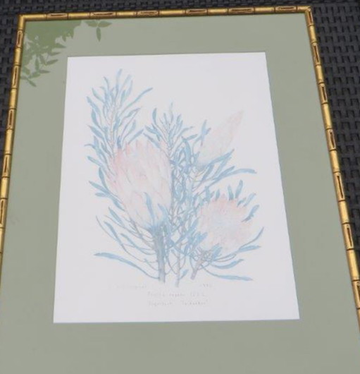 Gesigneerde Zeefdruk - sugarbush v Stanley S C Seagrief 1990 – lithos zeefdrukken, Paper, Glass, Abstract