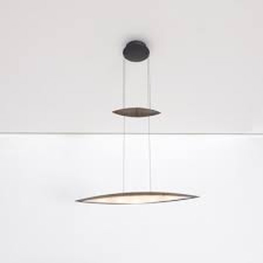 Tailang aluminum hanging lamp.