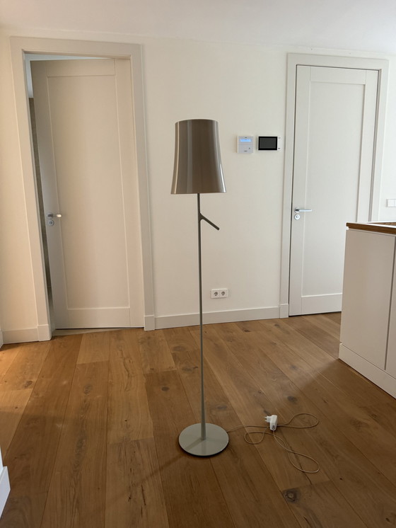 Image 1 of Foscarini Birdie floor lamp gray