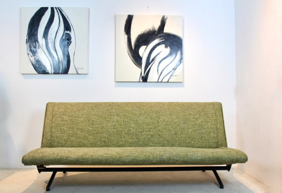 Image 1 of D70 Sofa Daybed by Osvaldo Borsani for Tecno, 1954