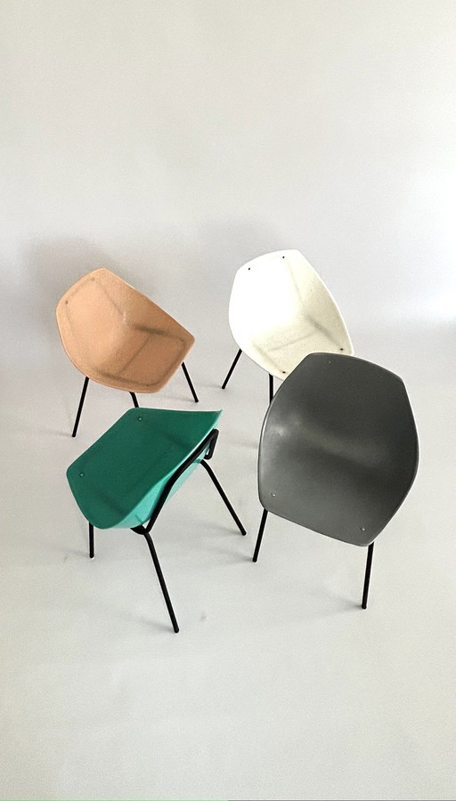 Coquillage" chairs Guariche X Meurop