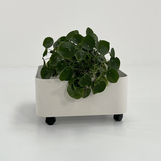 Image 1 of Planter On Wheels Model 4682 By Anna Castelli For Kartell, 1970S