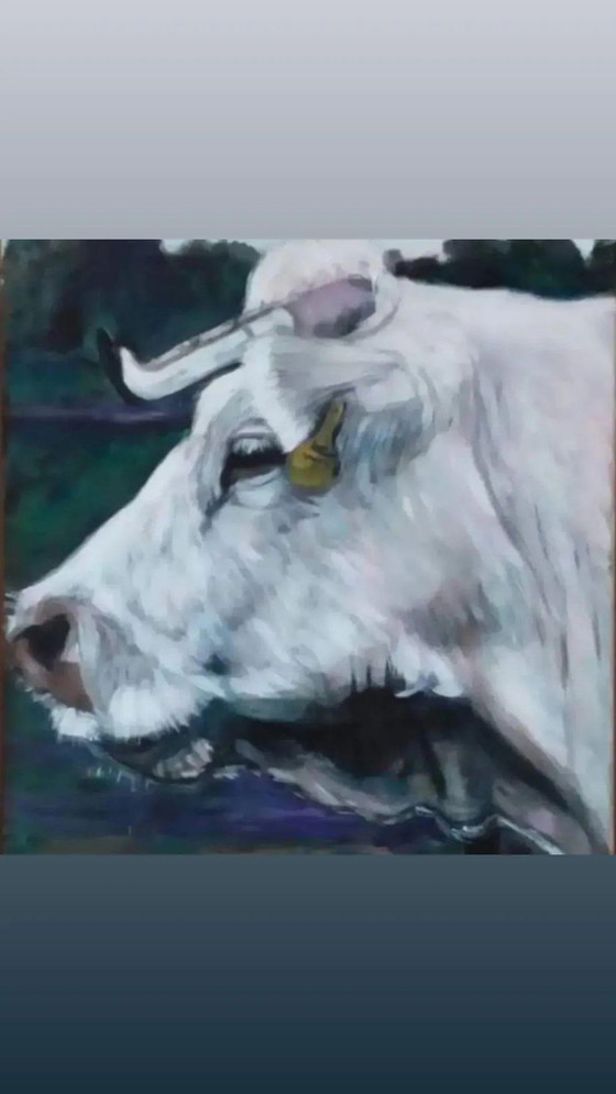 Image 1 of Tineke Van Steenbergen. Cow On The Mound