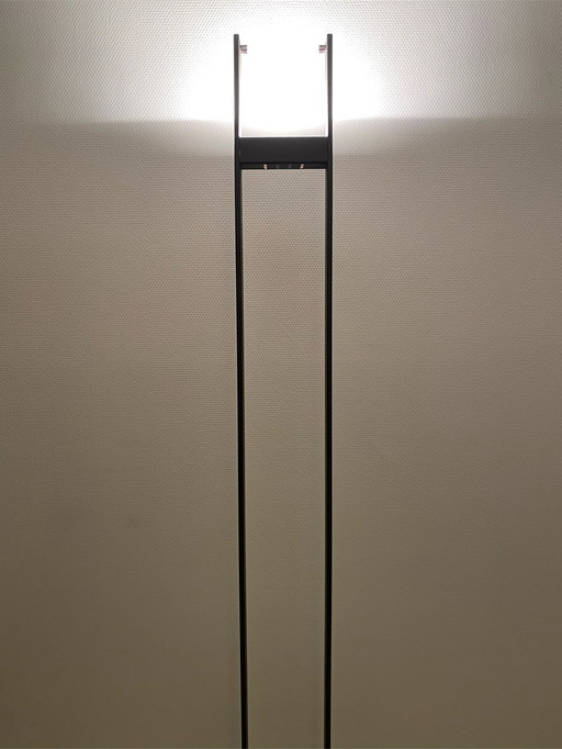 Siegur halogen floor lamp