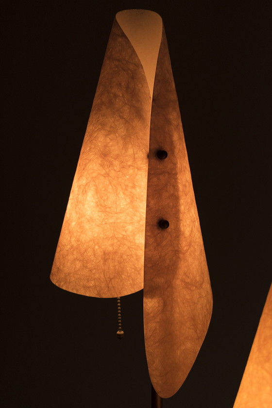 Image 1 of Vintage organically shaped floor lamp