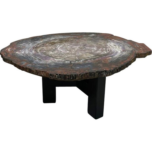 Mid-century petrifiedwood coffee table, Belgium 1970s