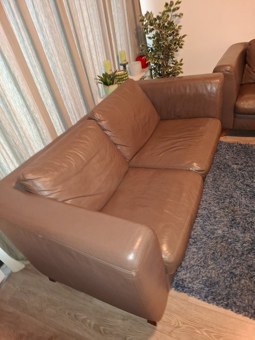 Leather sofa brown