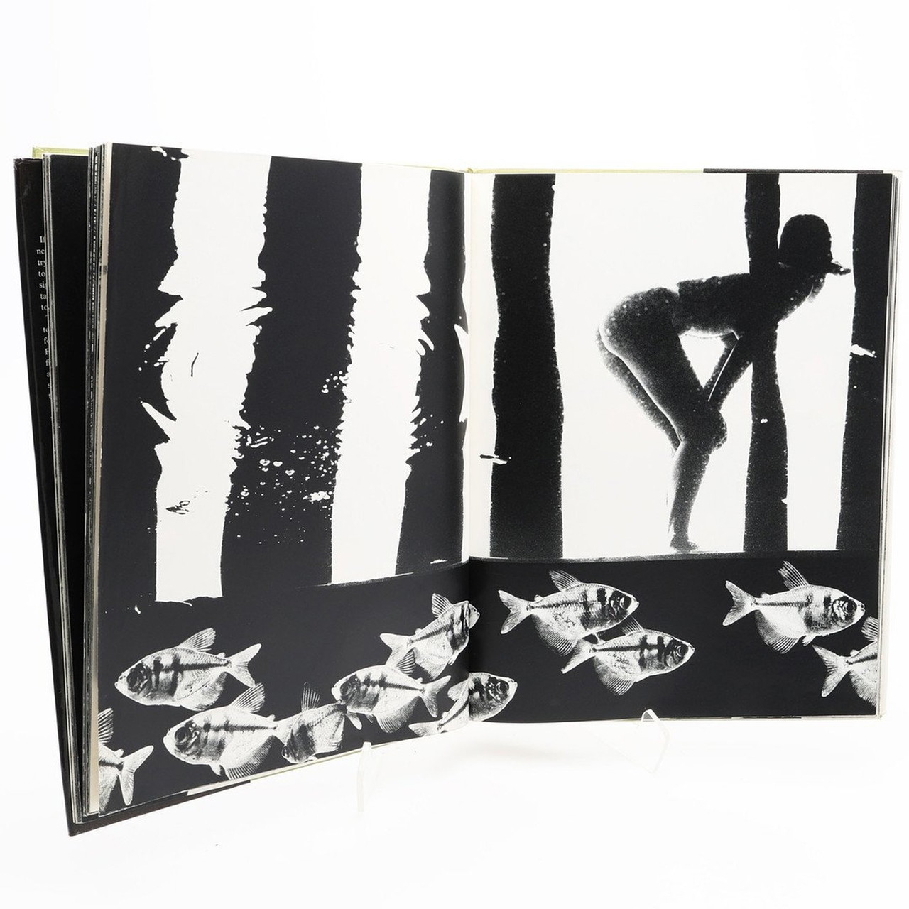 洋書 COWBOY KATE&OTHER STORIES / Sam Haskins Cowboy Kate and Other Stories (1975 Edition) — Sam Haskins