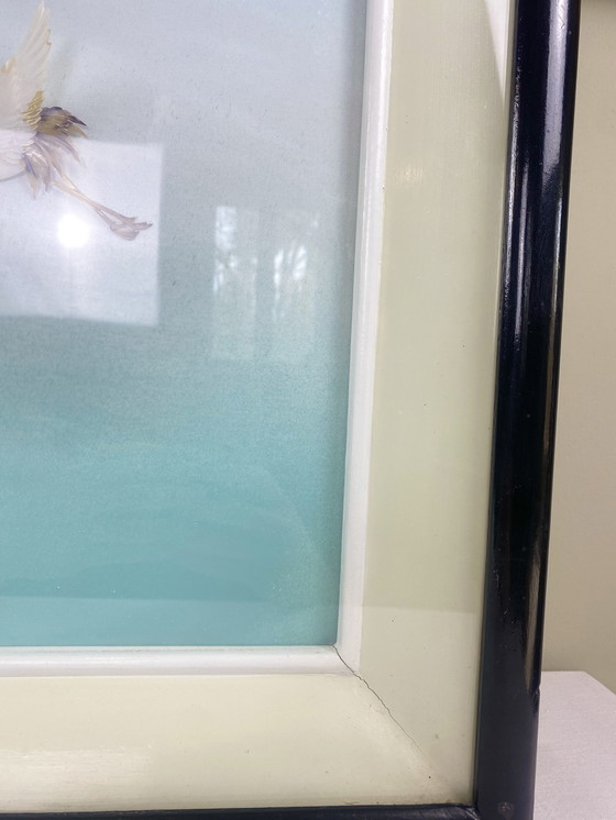 Image 1 of Pittura di conchiglie asiatiche 