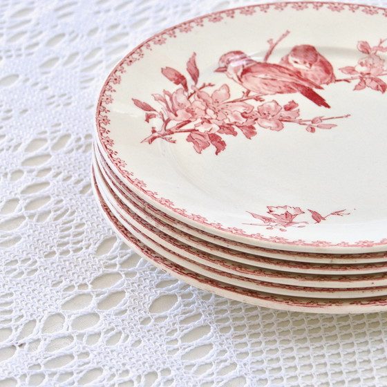 Image 1 of Plates Xixe Sarreguemines "Favori" Terre De Fer Pink / Red