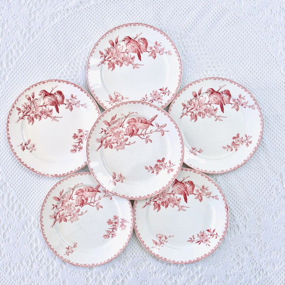 Image 1 of Plates Xixe Sarreguemines "Favori" Terre De Fer Pink / Red