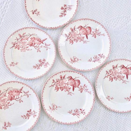 Image 1 of Plates Xixe Sarreguemines "Favori" Terre De Fer Pink / Red